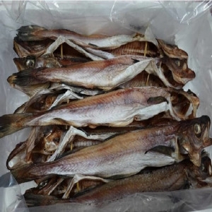우체국쇼핑  코다리 명태 코다리2미 5팩 10미