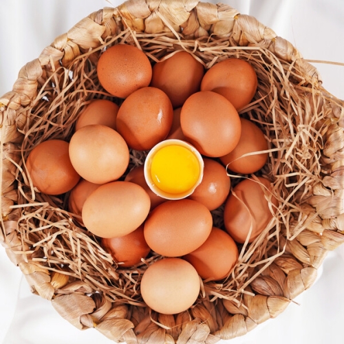 전라도청년  무항생제 난각번호 1번 자연방사 유정란 20구