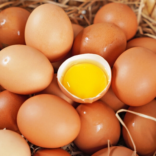 전라도청년  무항생제 난각번호 1번 자연방사 유정란 20구