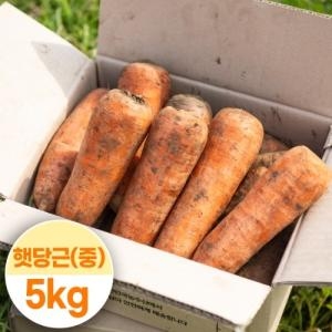 대한민국농수산 국내산 햇당근 주스용 중 5kg