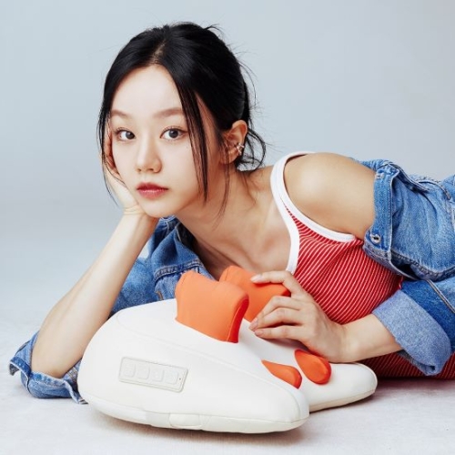 에이치엘비글로벌 스파알 포터블 베개 마사지기