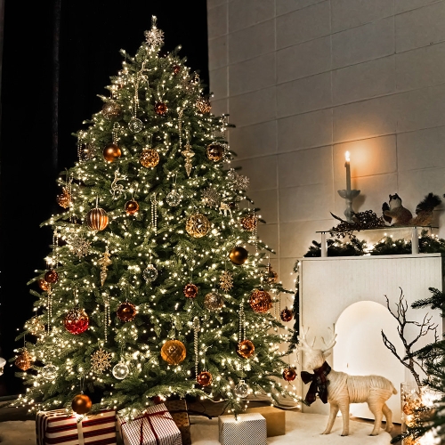 까사무띠  2024 프리미엄 보그 트리 풀세트