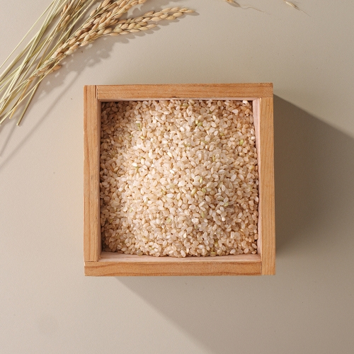 이푸른  삼광 오분도미 특등급 4kg