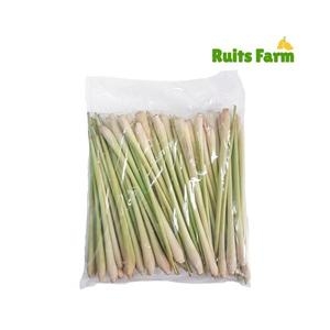 루츠팜 베트남 생 레몬그라스 1kg