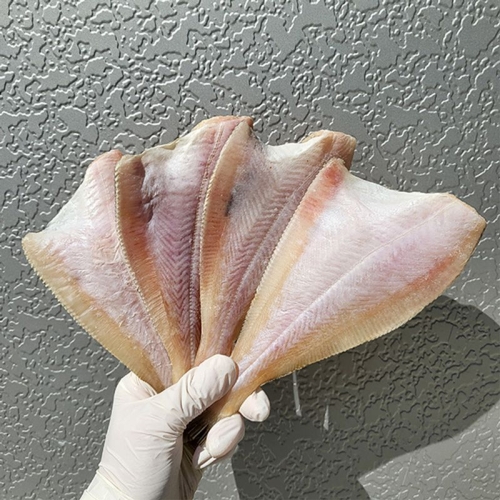 자연맛남  영덕 손질 반건조 참가자미 6~8미 암수랜덤 800g내외