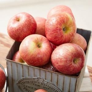 햇살맞춤  산지직송 고랭지 경북 영주 풍기 못난이 금계사과 10kg 사이즈 랜덤