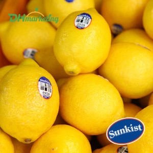 썬키스트  팬시 레몬 특대과 내외 미국산/ 증정이벤트