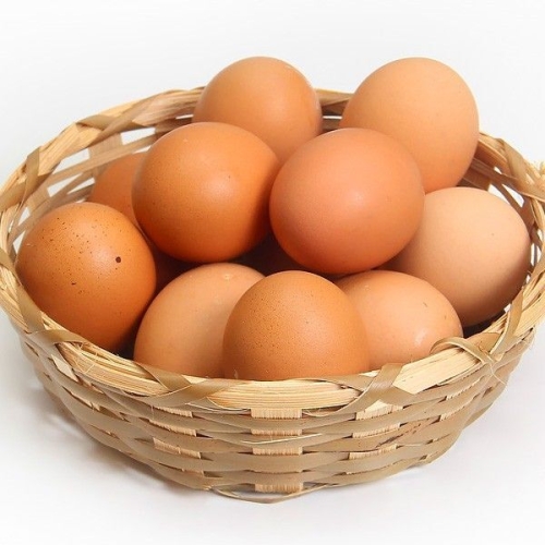 에그온  난각번호 1번 무항생제 유정란 20구