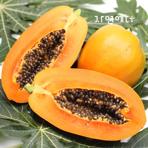자연에더 경기도 포천 스위탄 국내산 파파야 2kg