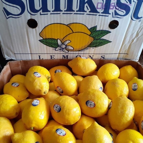 썬키스트  레몬 30과 대과 팬시 레몬 3.6kg 미국산 레몬 한박스 생레몬 신과일 레몬청