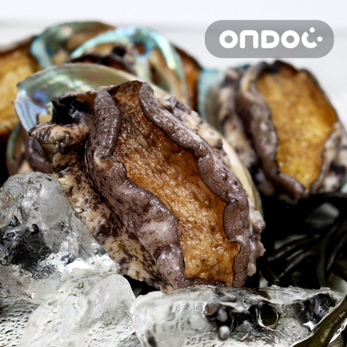 온도씨  완도 활전복 12~15마리 소 500g