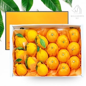 웰굿  제주직송 한라봉 천혜향 2종 선물세트 중과 2kg