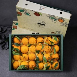 자연맛남  제주 한라봉 선물세트 20과내외 4.6kg