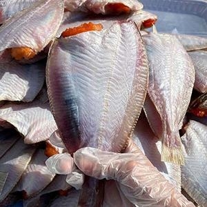 자연맛남  영덕 손질 반건조 참가자미 대 12마리 마리당 135~160g