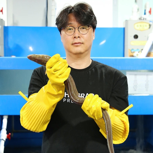 더꽃게  통영 바다장어 특대 1kg 손질 후 600-750g 장어 붕장어 아나고 구이 갯장어 하모회