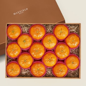 메이필드호텔  골든후르츠 제주 레드향 선물세트 13~15입 특대과 5kg