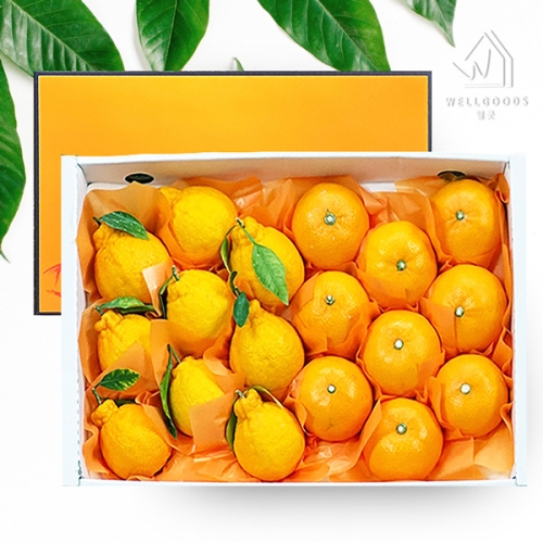 웰굿  한라봉 천혜향 2종 선물세트 중과 2.5kg