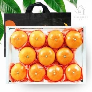 웰굿  제주직송 천혜향 선물세트 중과 18~23과 4.5kg