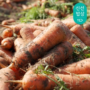 맛을아는남자 제주 구좌 햇 흙당근 중 3kg