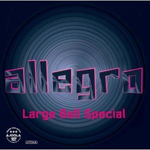 맥스  JOOLA 019 TJRUB016 요라 탁구 고무 대형 용 표 소프트 반발력 스피드 스핀