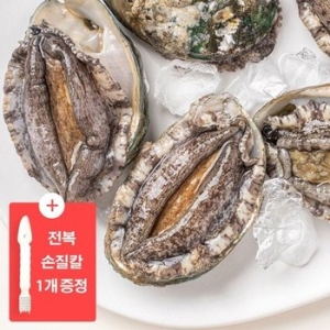 바다마을  완도 활전복 특대 20미 1.6kg + 전복 손질 도구