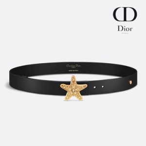 크리스찬디올 여성벨트 캐비넷 벨트 25mm B06426BGO M900