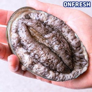 바다온  완도활전복 9~10미 1kg