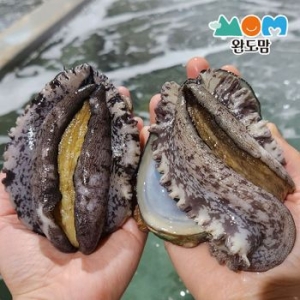 완도맘  활전복 특특특대 6~8미 1kg