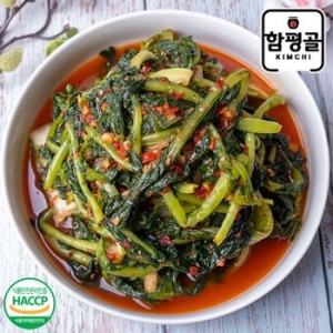 함평골김치 감칠맛이 풍부한 전라도 열무김치 3kg