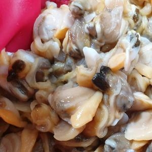 우체국쇼핑  여수명품바지락 91생물바지락살 500g