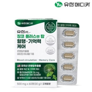 유한메디카 징코 플러스 엔 탑 혈행 기억력 케어 500mg 60정