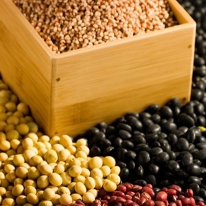 우리네농산  정선 쥐눈이콩 1kg 깨끗하게 선별하여 산지에서 직접 보내드립니. 약콩