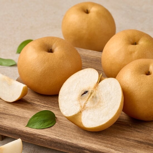 나주배  햇배 신고배 가정용 15kg 31-40과