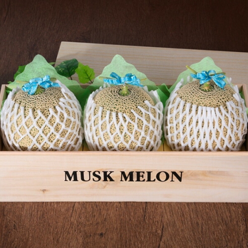 팜쿡  머스크메론 오동 세트 1호 3개 5kg