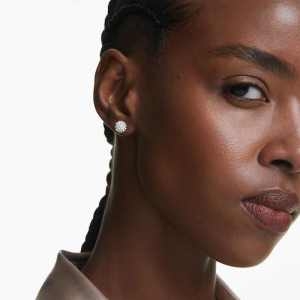 스와로브스키  Dextera 로듐 스터드 귀걸이 5700290