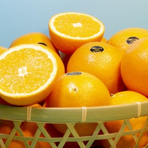 블랙라벨  고당도 오렌지 30입, 56입