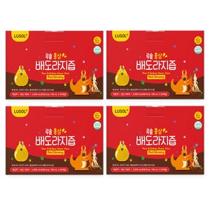 루솔 홍삼 배도라지즙 100ml