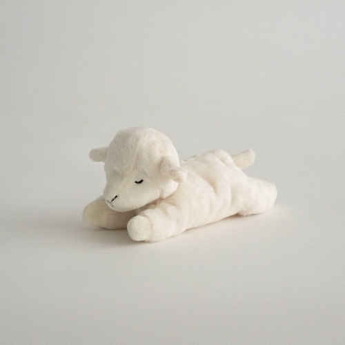 아우스리푸 버디램