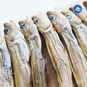 장수왕  대구 줄노가리 160급 100마리 줄노가리 마른안주