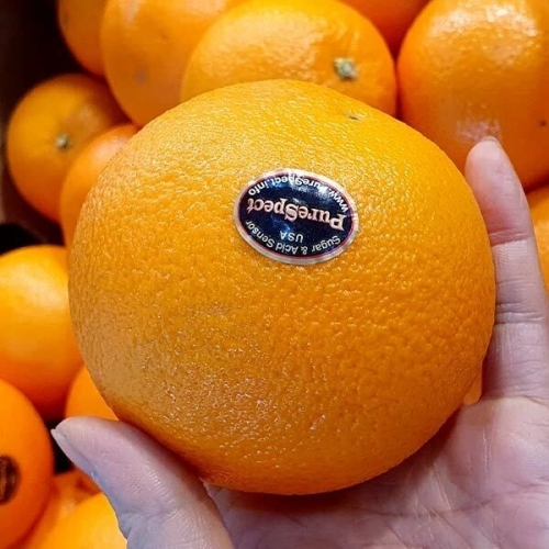 블랙라벨  고당도 오렌지 10과 중소과/개당150g내외