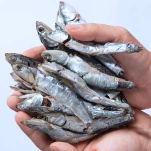 대한민국농수산  국내산 멸치 국산 국물 멸치 국멸치 신선멸치 국물용 고노리 1.5kg