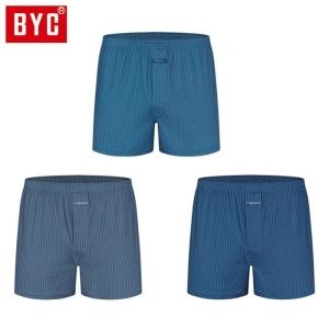 BYC BZI3KJ3O_51HC 3매입 팬티 DOLF2095