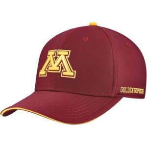 나이키 1132493 미국 칼리지 캡모자 Minnesota Golden Gophers Rise Performance Fl