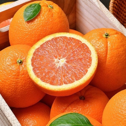 자연맛남  고당도 카라카라 오렌지 중과 10과 1.9kg