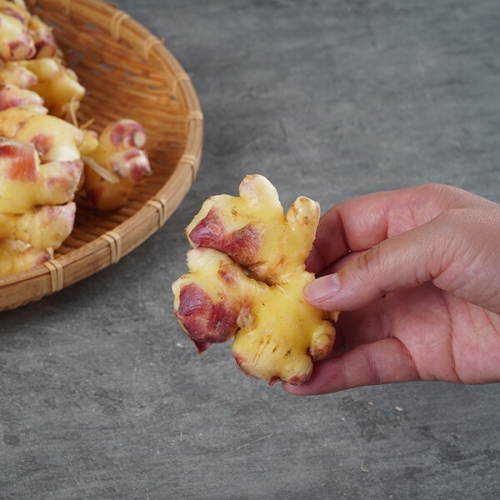 지투지샵  즙용 세척생강 10kg