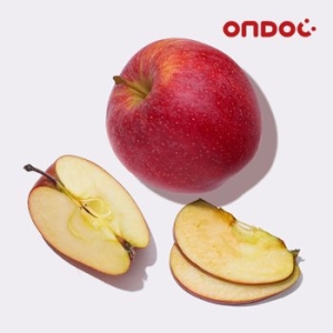 온도씨  영주 고당도 꿀사과 실속 6~10과 2kg