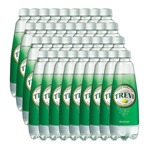 트레비 레몬 500ml