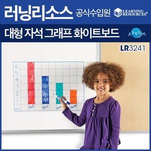 러닝리소스 대형 자석 그래프 화이트보드 LER3241