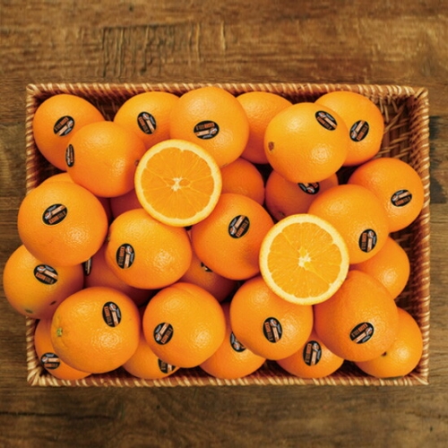 미식탐구생활  고당도 블랙라벨 오렌지 중과 88개입 17kg내외