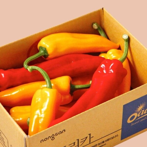 우체국쇼핑  산지별미 오아로파프리카 고당도 트리벨리 파프리카 1.2kg